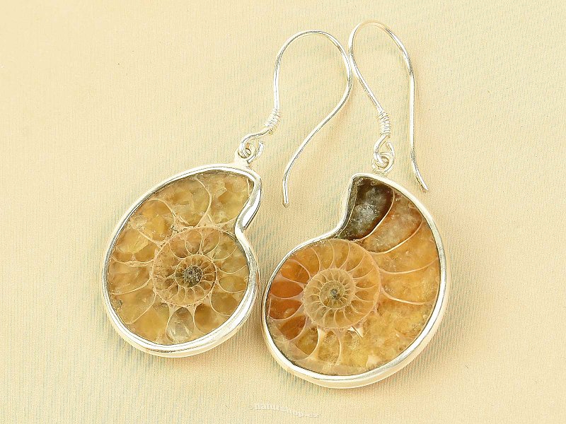 Ammonite earrings Ag 925/1000 7.2g