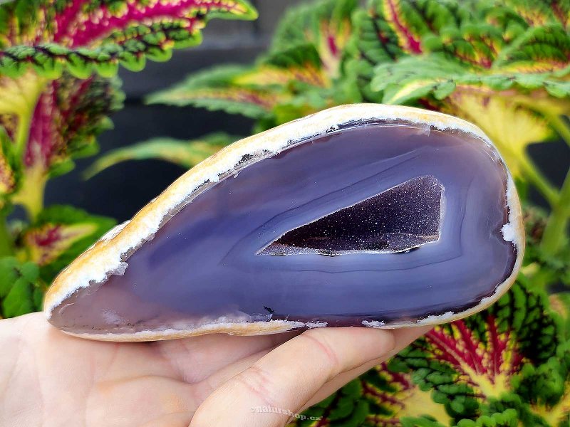 Gray agate geode with hollow 331g (Brazil)