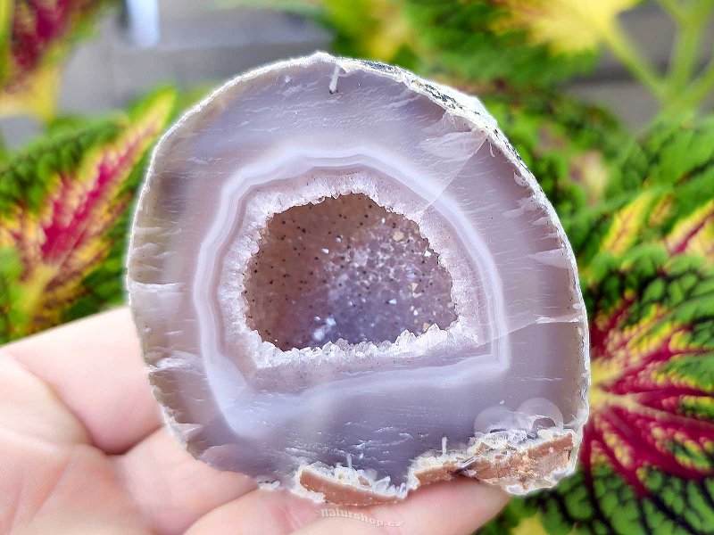 Agate gray geode with a hollow 147g from Brazil