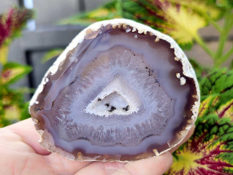 Gray agate geode with hollow 213g (Brazil)