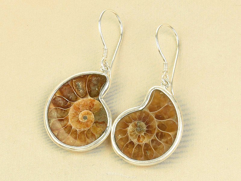 Ammonite earrings Ag 925/1000 6.0g