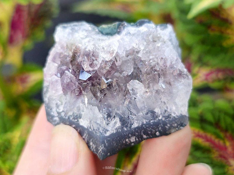 Amethyst druse 69g (Brazil)