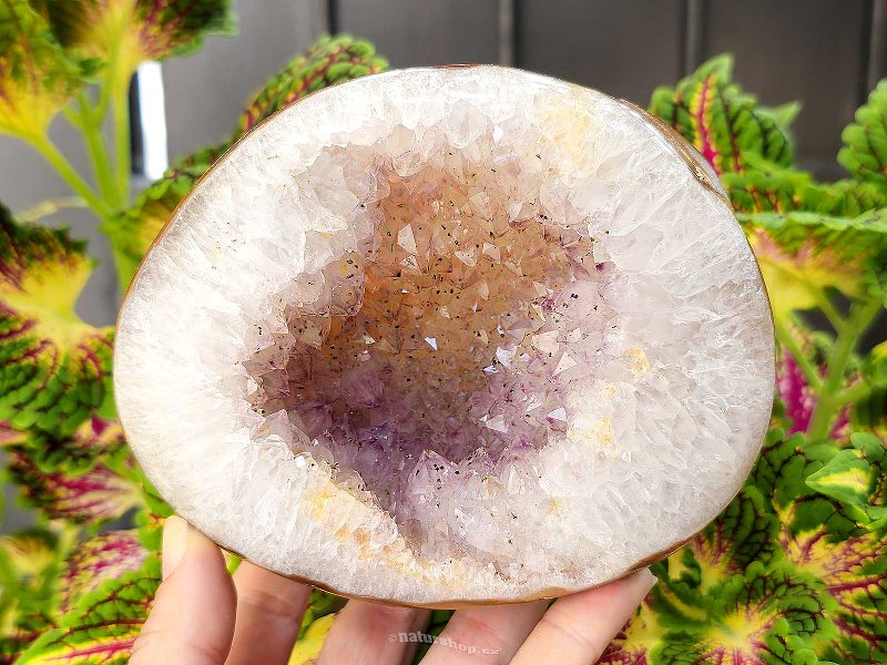 Agate geode with amethyst (Brazil) 1048g