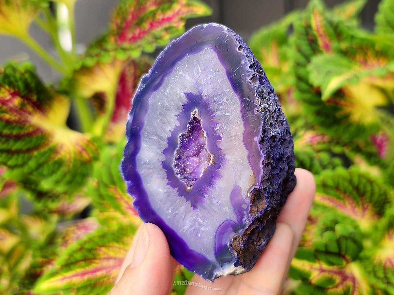 Agate geode with cavity dyed purple 188g