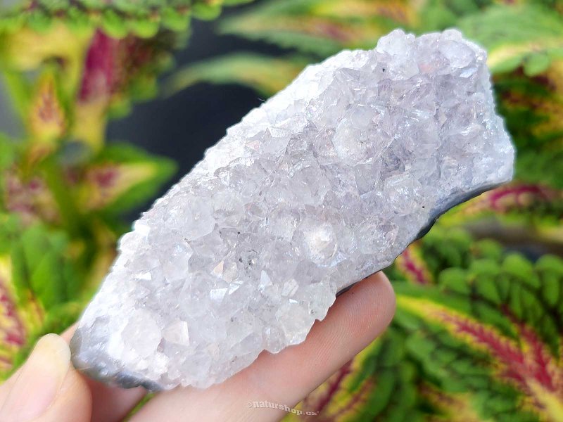 Amethyst druse 91g from Brazil