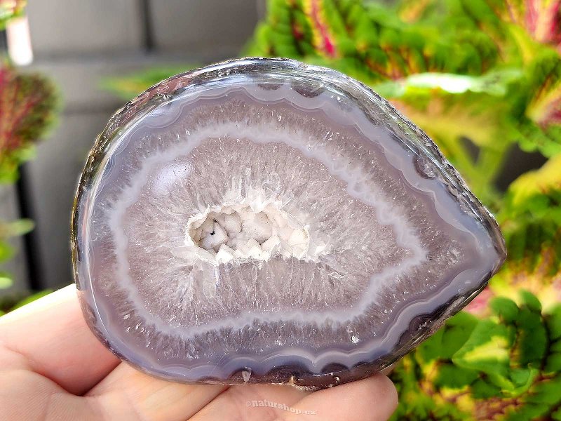 Geode gray agate with hollow Brazil 239g