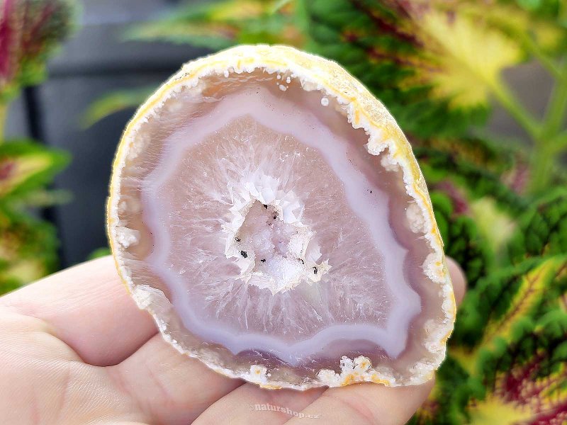 Agate gray geode with a hollow 143g from Brazil