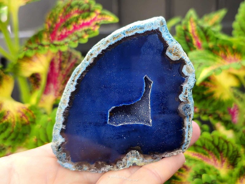 Agate blue dyed geode with cavity 229g