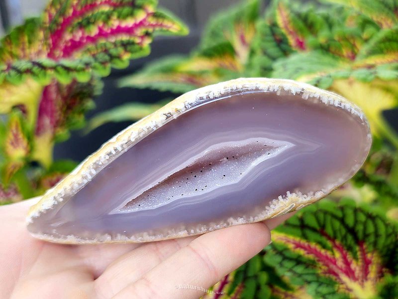 Gray agate geode with hollow 181g (Brazil)