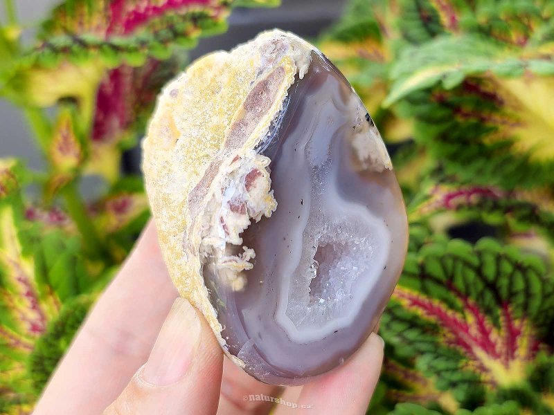 Gray agate geode with hollow 150g (Brazil)