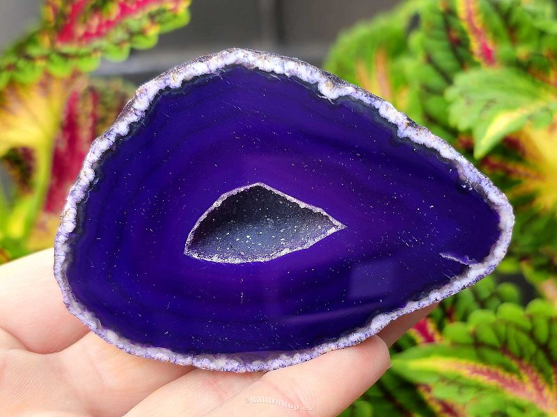 Agate geode with cavity dyed purple 179g from Brazil