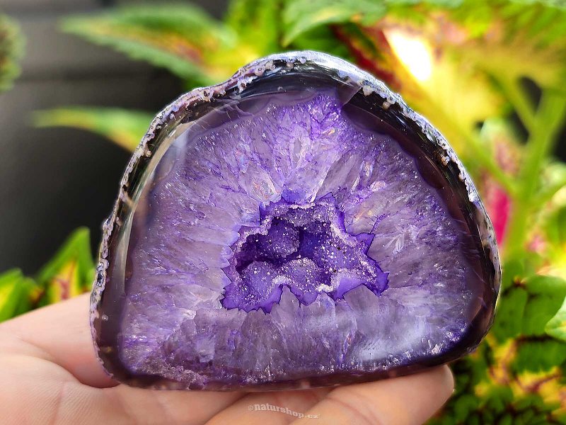 Agate geode with cavity dyed purple 170g from Brazil