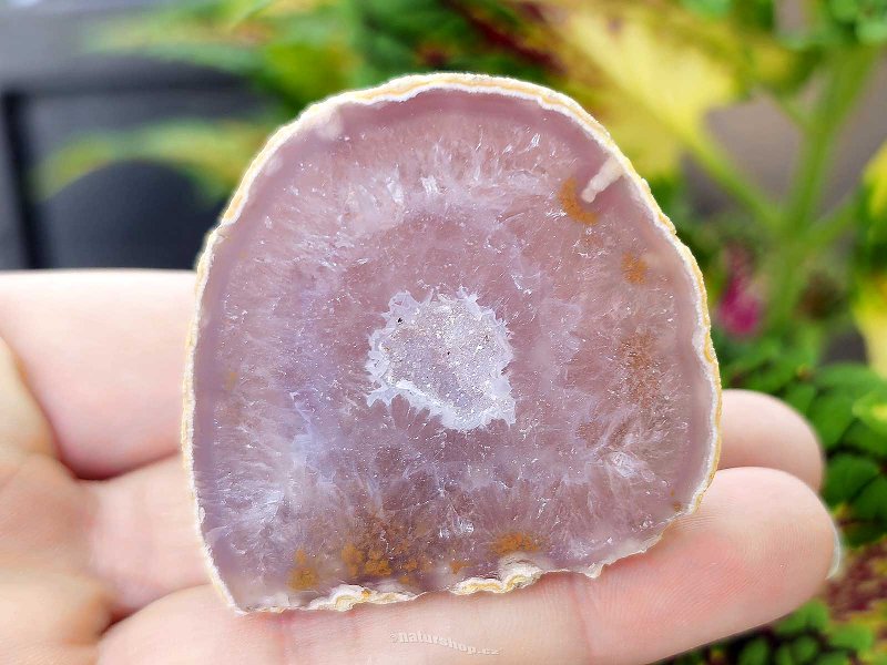 Agate gray geode with a hollow 70g from Brazil