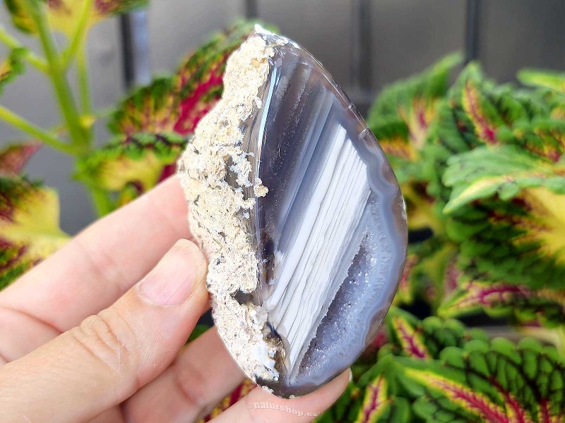 Gray agate geode with hollow 178g (Brazil)