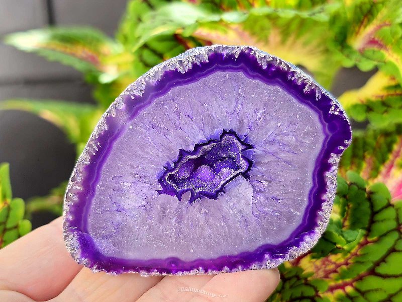 Agate geode with cavity dyed purple 192g