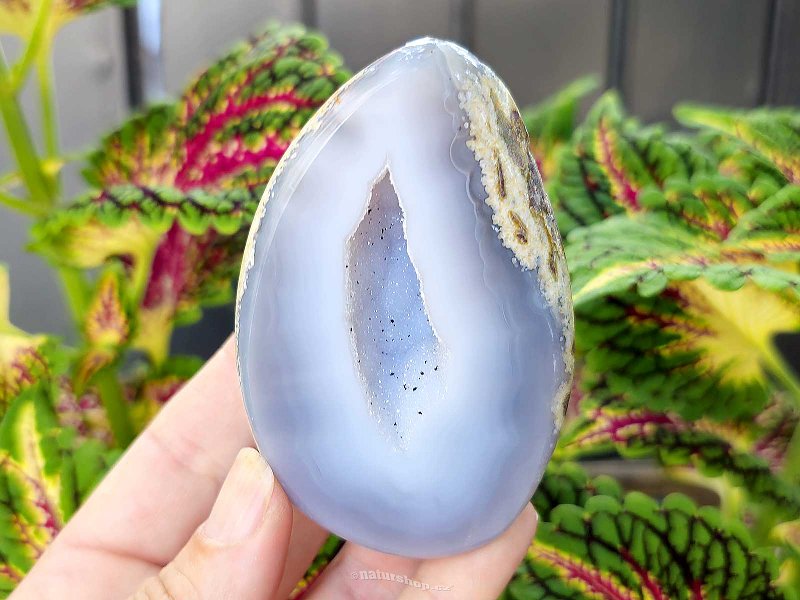 Gray agate geode with hollow 191g (Brazil)