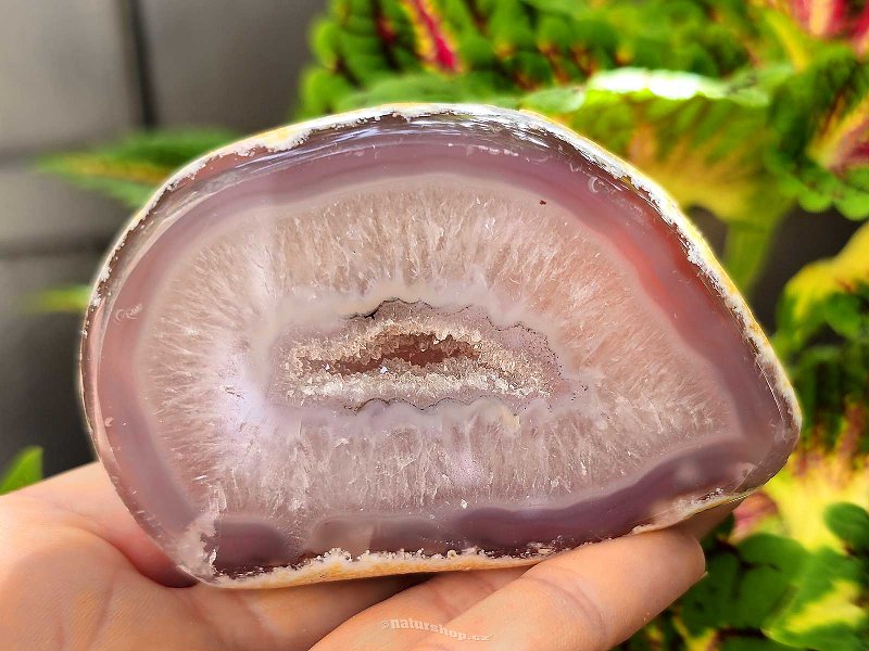 Geode gray agate with hollow Brazil 227g