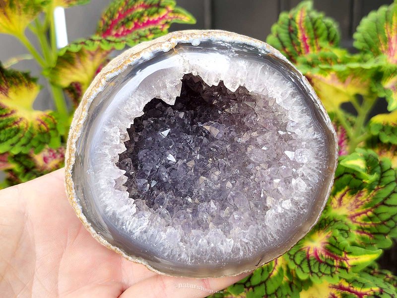 Agate geode with amethyst (Brazil) 510g