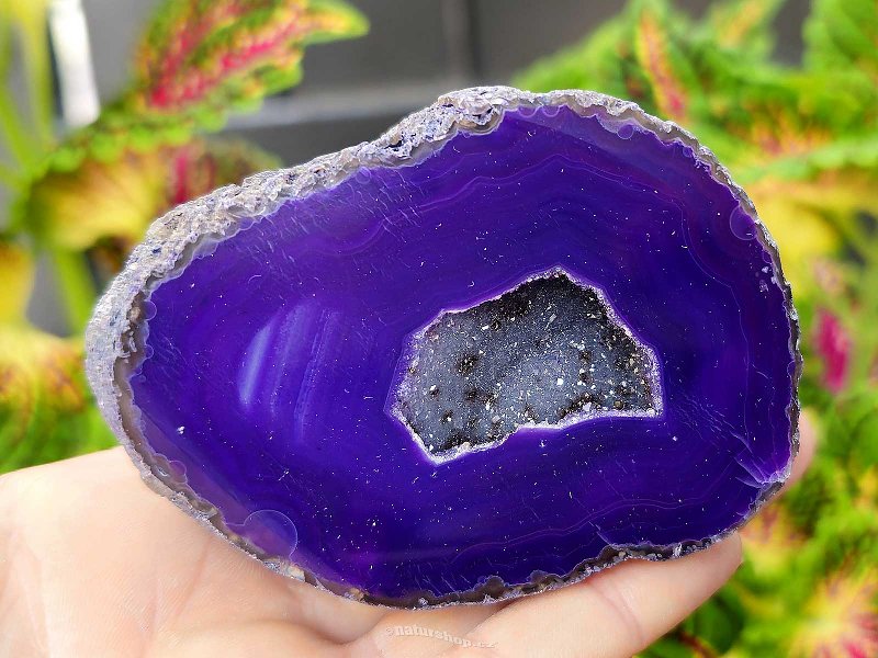 Agate geode with cavity dyed purple 240g