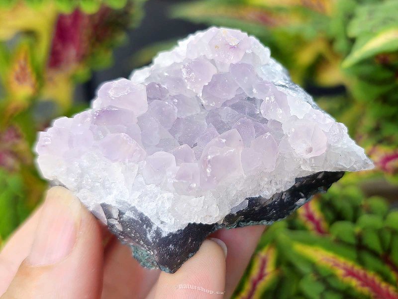 Amethyst druse 97g from Brazil