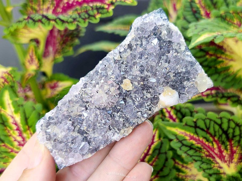 Amethyst druse 119g from Brazil