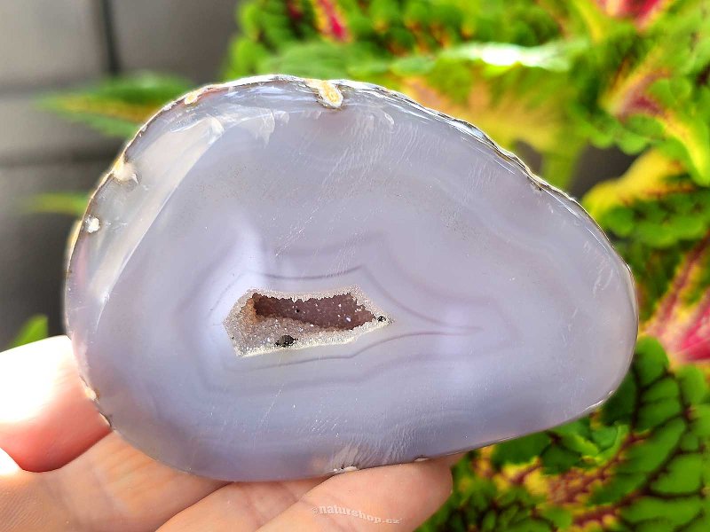 Geode gray agate with a hollow Brazil 218g