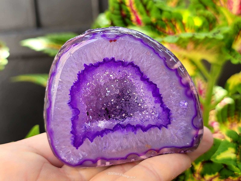 Agate geode with cavity dyed purple 198g