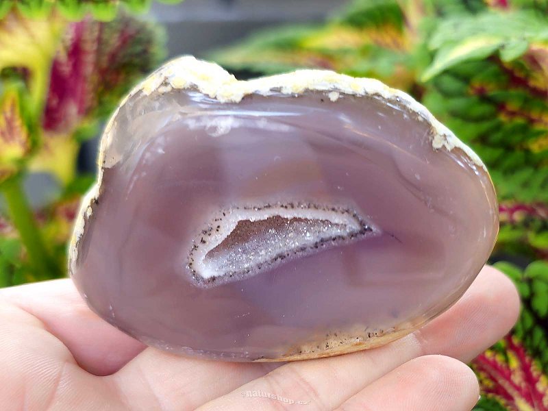 Gray agate geode with hollow 142g (Brazil)