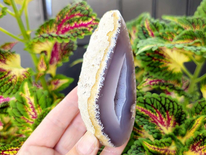 Agate gray geode with a hollow 239g from Brazil