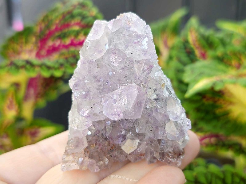 Amethyst druse 112g from Brazil