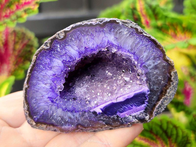 Agate geode with cavity dyed purple 158g from Brazil