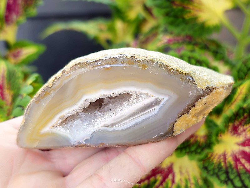 Agate gray geode with a hollow 212g from Brazil