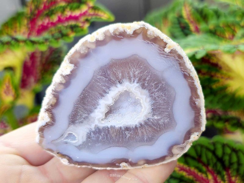 Agate gray geode with a hollow 178g from Brazil