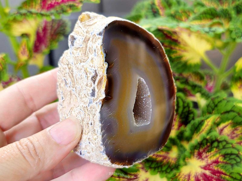 Brown agate geode with hollow 292g (Brazil)