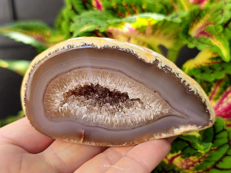 Brazil agate geode with hollow 229g