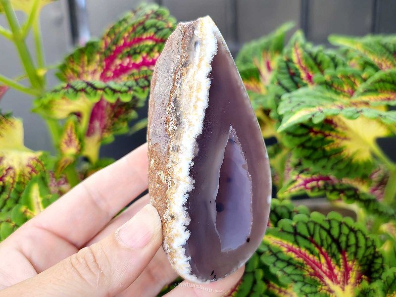 Gray agate geode with hollow 198g (Brazil)