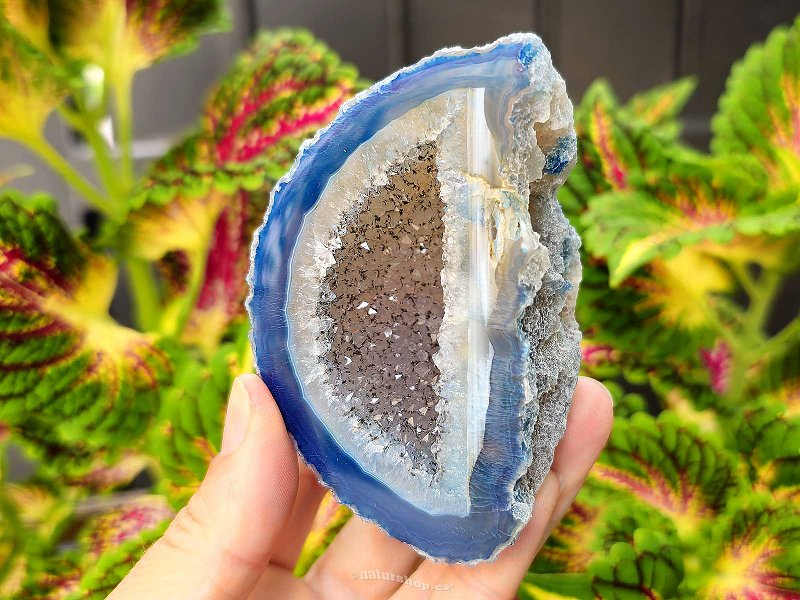 Agate blue dyed geode with cavity 217g