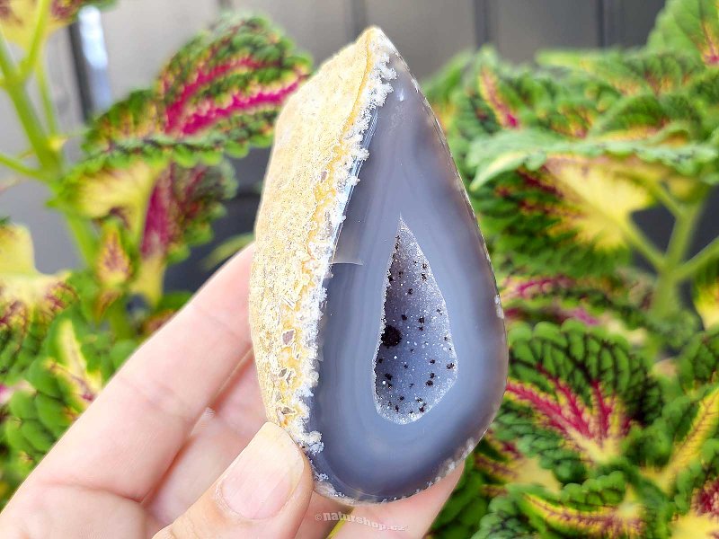 Gray agate geode with hollow 219g (Brazil)