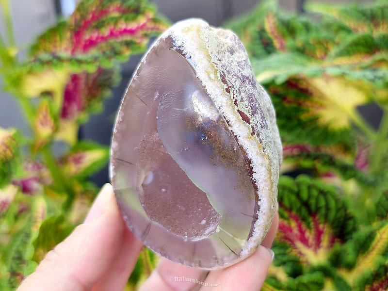 Gray agate geode with hollow 137g (Brazil)