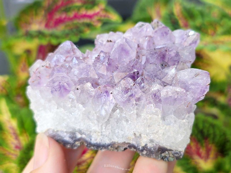 Amethyst druse (188g) from Brazil