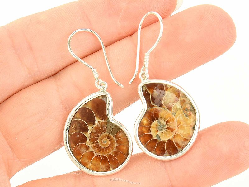 Ammonite earrings Ag 925/1000 5.9g