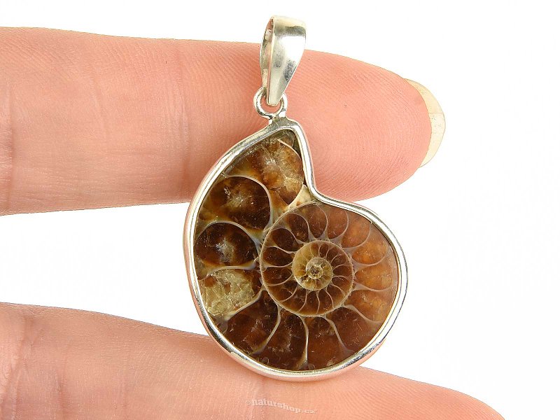 Ammonite pendant Ag 925/1000 4.3g