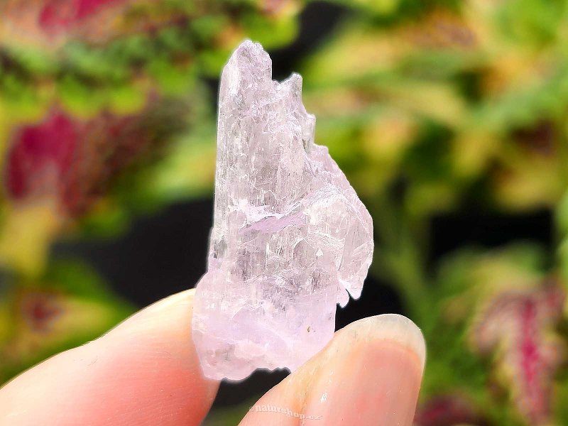 Kunzite crystal raw 6.1g from Pakistan