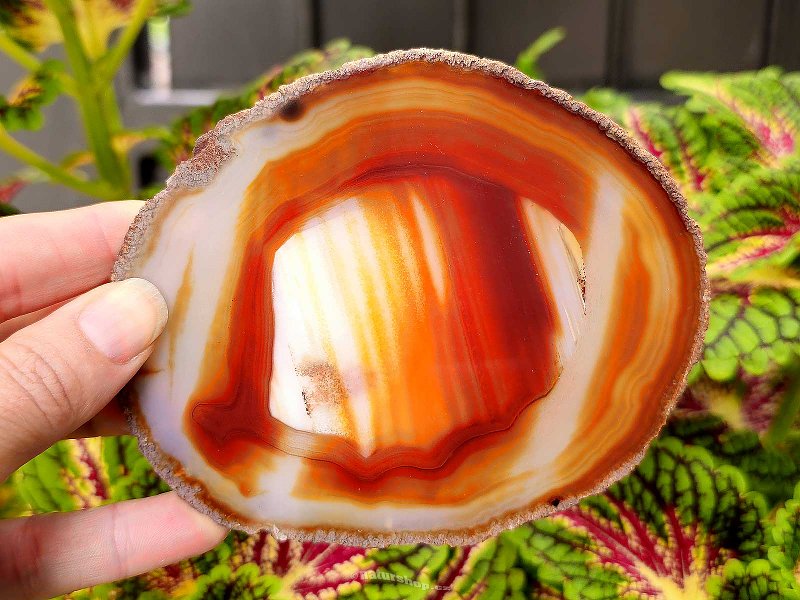 Agate polished honey slice from Brazil 114g