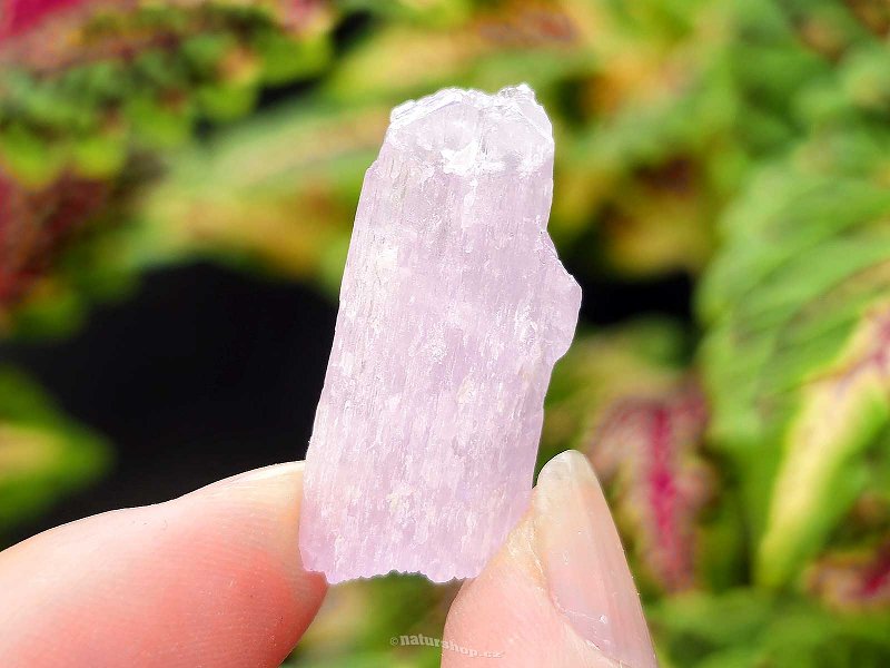 Kunzite crystal raw 6.0g from Pakistan