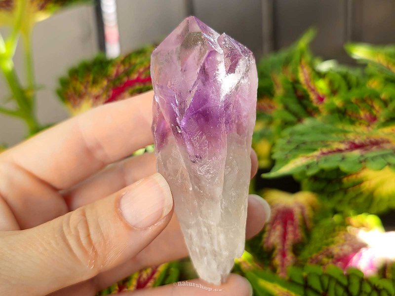 Amethyst natural crystal from Brazil 72g