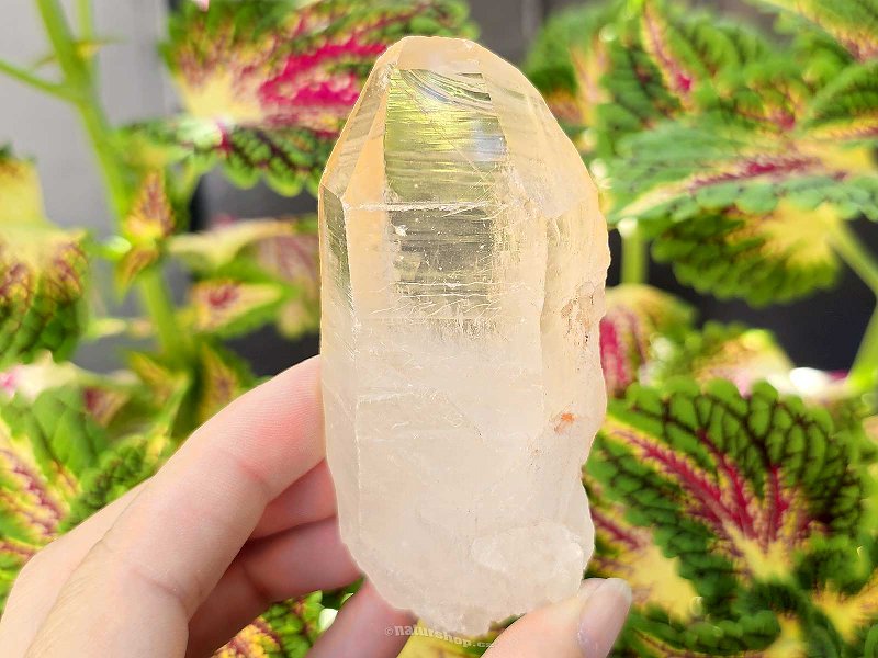 Crystal crystal natural from Brazil 174g