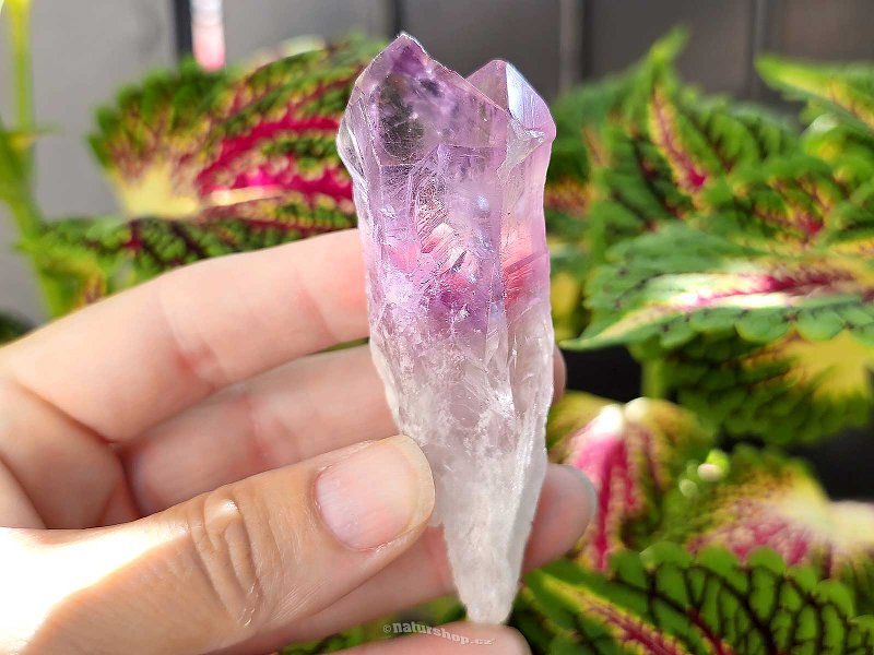 Amethyst natural crystal from Brazil (61g)