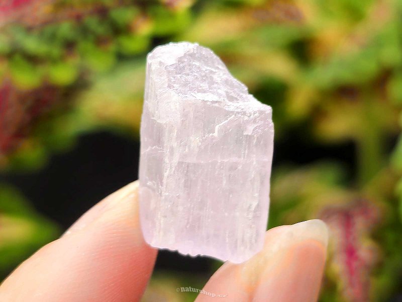 Kunzite crystal raw 6.4g from Pakistan