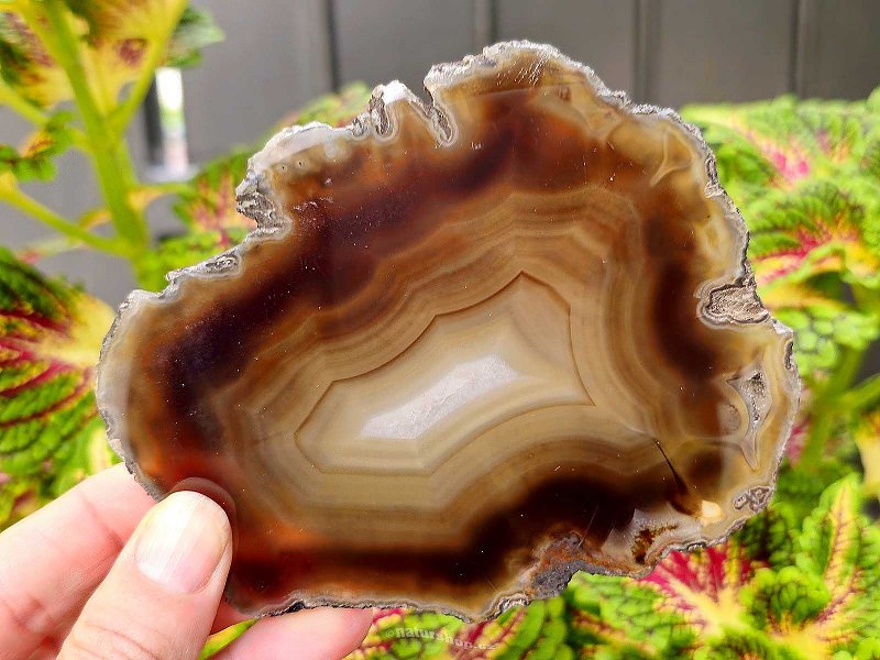 Polished agate slice from Brazil 115g